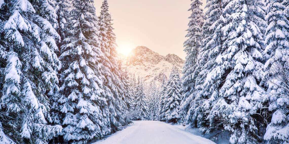 Concours blanc de décembre en prépa ECG