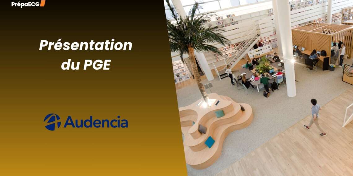 Tout savoir sur les oraux et le PGE d'Audencia en 2025 !